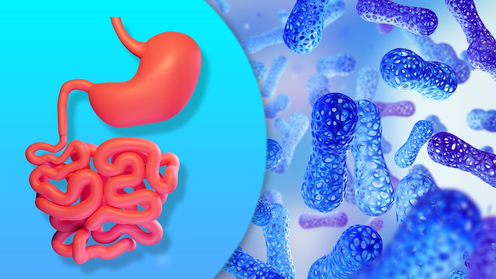 Мікробіом кишечнику та діарея. Вплив на здоров&#8217;я ШКТ.