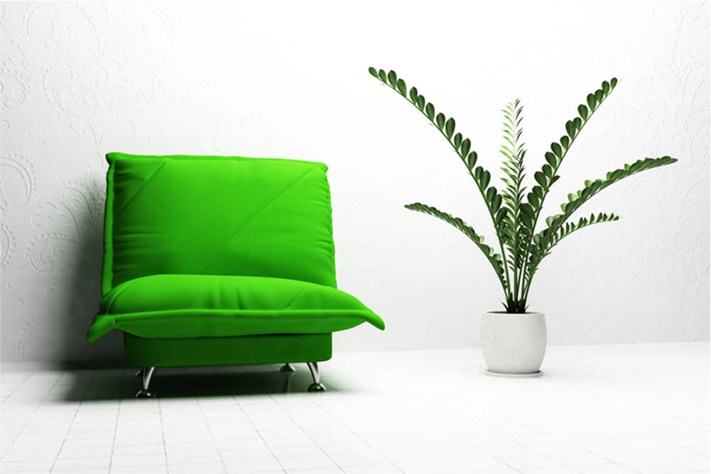 Зелений пронос у дорослого — що означає і коли варто турбуватися?